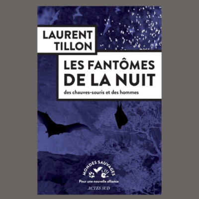 Laurent Tillon - Les fantômes de la nuit : des chauves-souris et des hommes cover