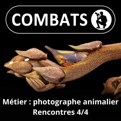 S02E49 Profession photographe animalier 4/4 : Rencontres (Frank "Canon" Deschandol) cover