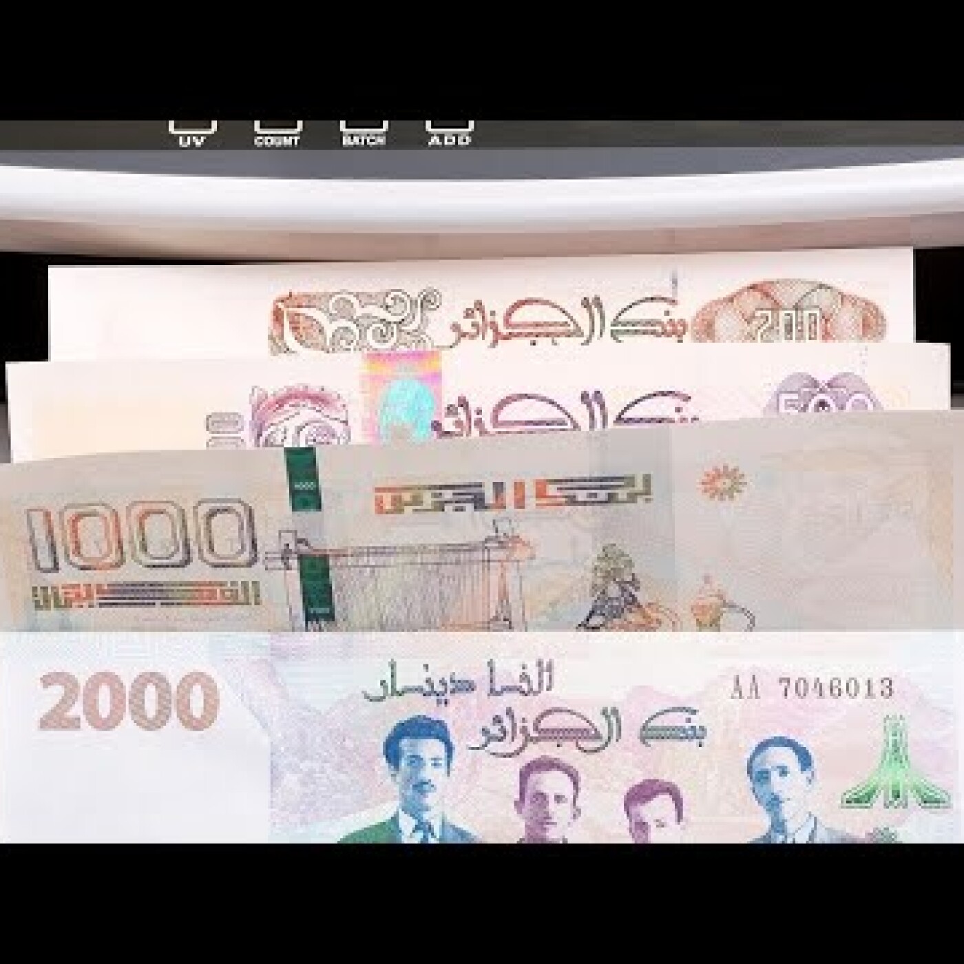 70 milliards $ dans la nature : le cash, mon amour ou le dangereux sous-développement en Algérie episode artwork