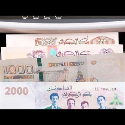 70 milliards $ dans la nature : le cash, mon amour ou le dangereux sous-développement en Algérie cover