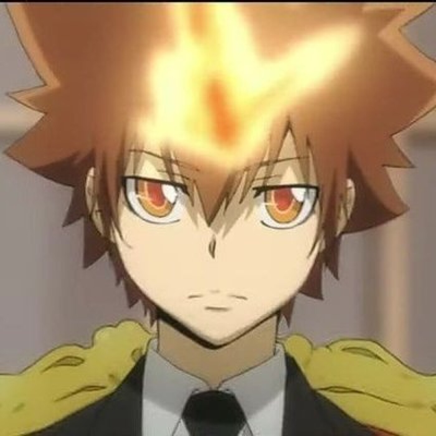 Le Chercheur de Mangas