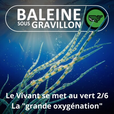 S07E74 Et le Vivant se mit au vert 2/6 : La "grande oxygénation" de la Terre cover