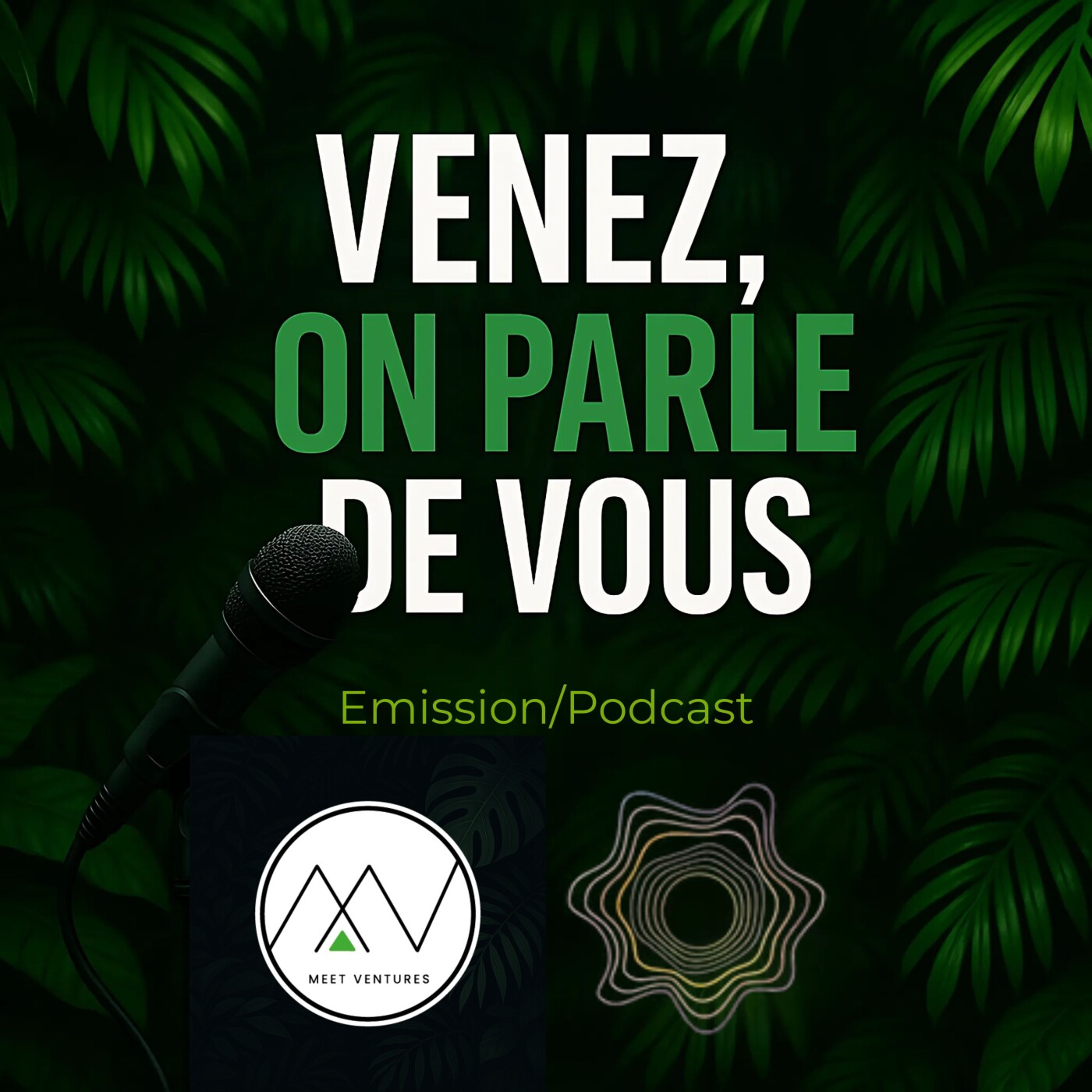 Venez, on parle de vous podcast artwork