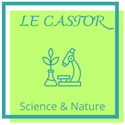 Le Castor: L'ingénieur des rivières cover