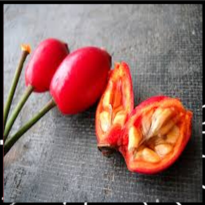 Prendre soin de vous est essentiel épi 8, Le Poil à gratter ou Cynorrhodon, des bienfaits pour votre santé avec Anne Merry. cover