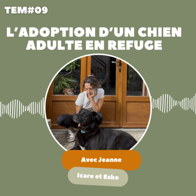 TEM08 : Jeanne, Icare et Esko - L'aption d'un chien adulte en refuge cover