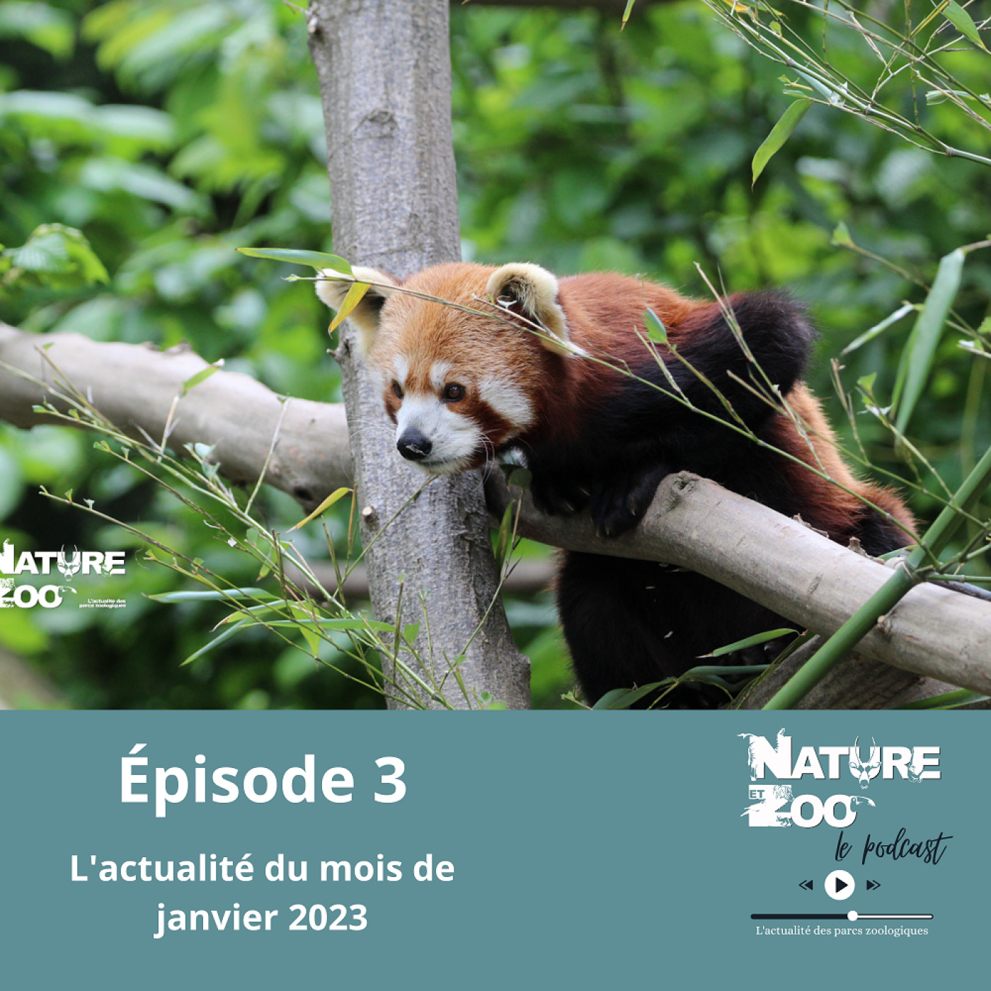 Nature et Zoo - Le Podcast