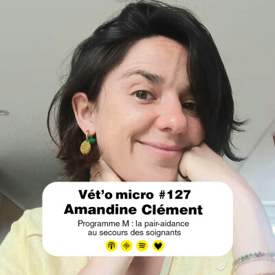 Épisode #127 - Amandine Clément : Programme M : la pair-aidance  au secours des soignants cover