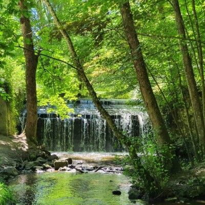 Direction les Yvelines pour une rentrée au vert ! cover