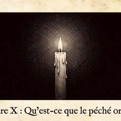 Qu’est-ce que le péché originel ? — La Lettre au Néophyte (Partie 11 et fin) - cover
