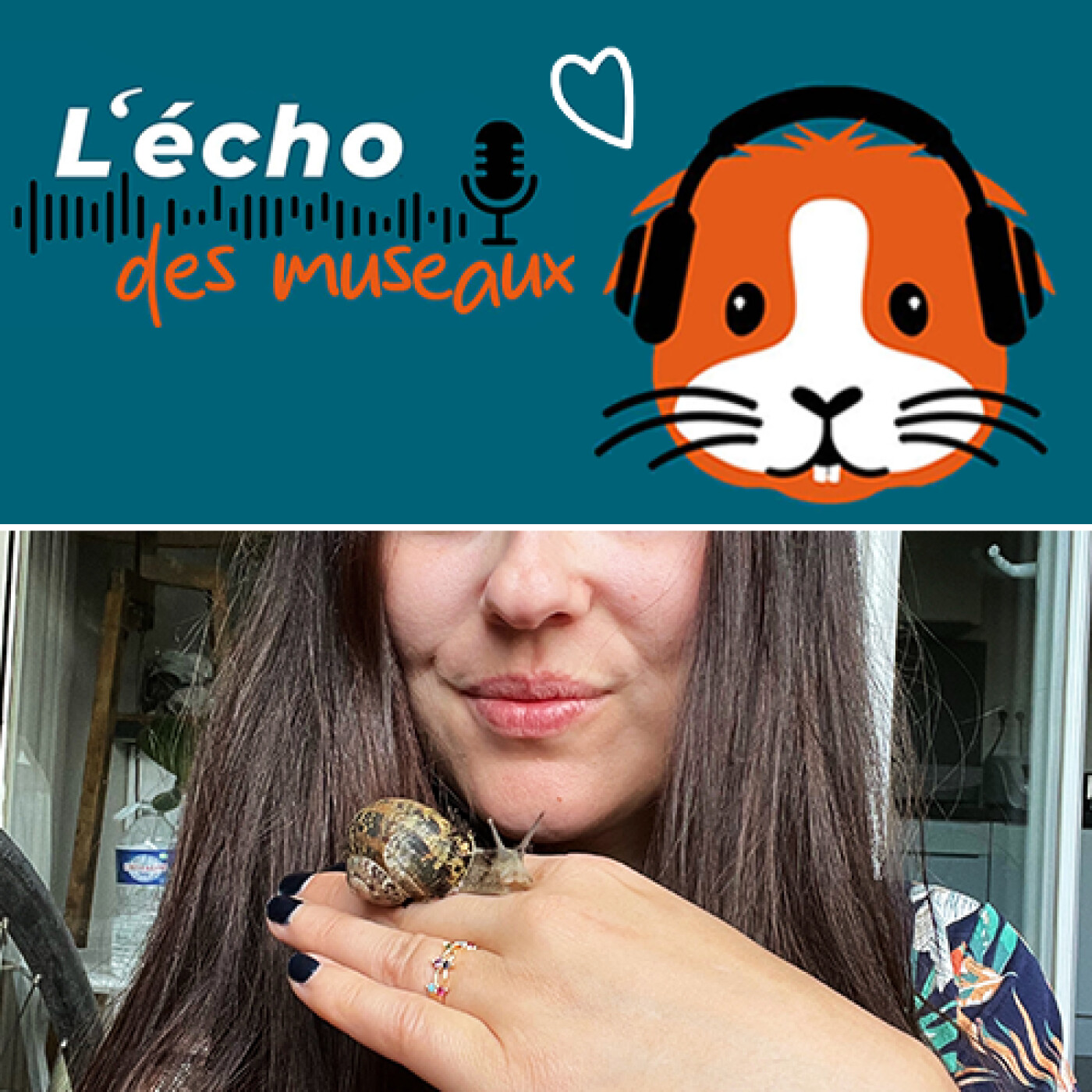 L\'écho des museaux