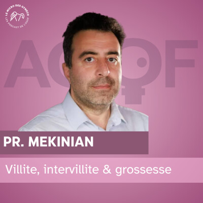 Intervillites chroniques histiocytaires - Pr Mekinian cover