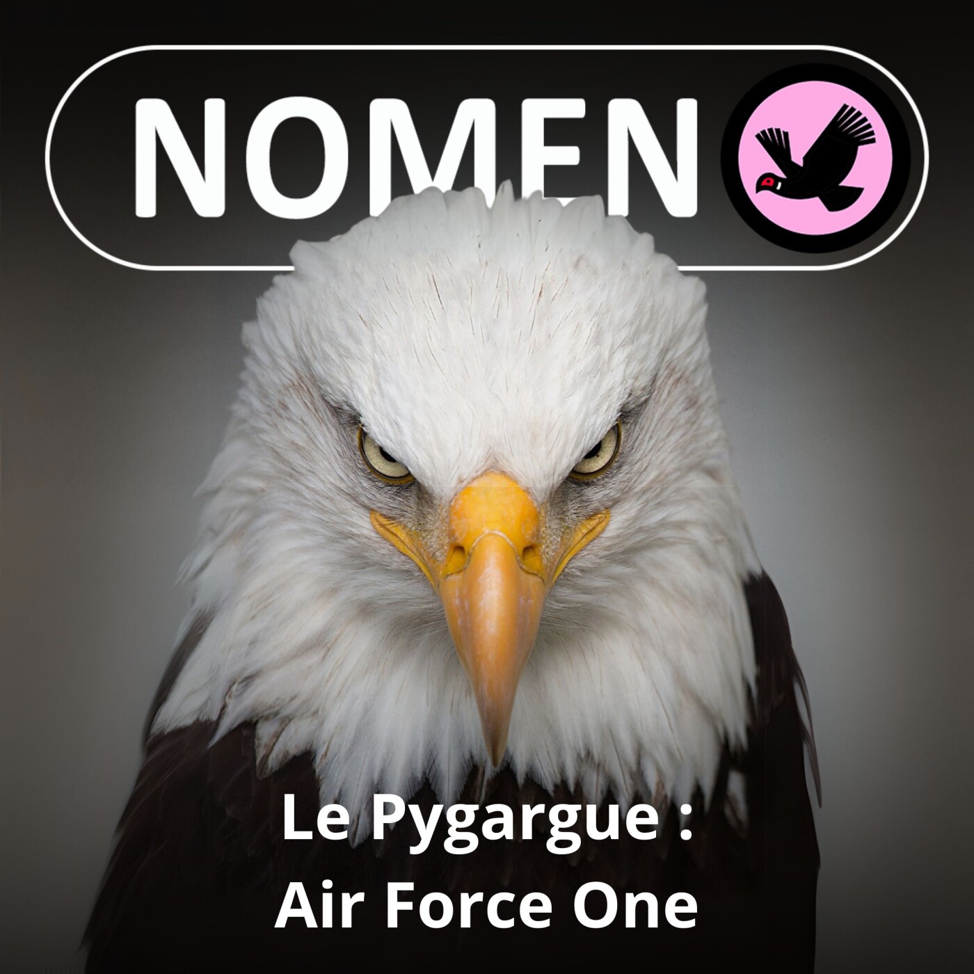 S04E10 Le Pygargue, les plus célèbres "fesses blanches" des États-Unis