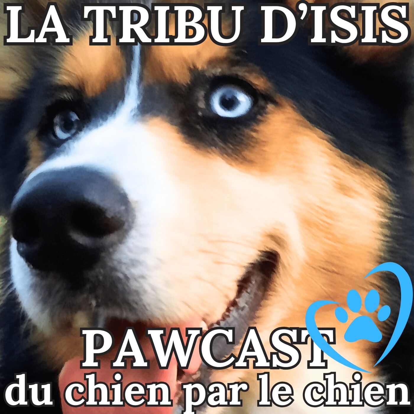La Tribu d\'Isis - pawcast du chien par le chien