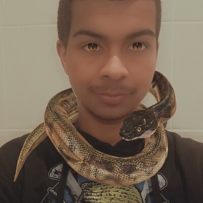 Alexis, patissier amateur, fan de mangas et d'Histoire cover