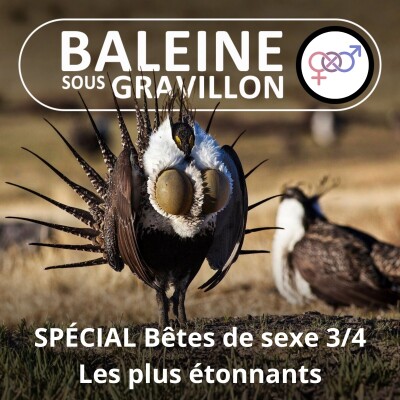 Bêtes de sexe 3/4 : Les cas plus hallucinants cover
