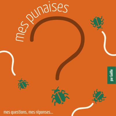 E59 le drapeau français et autres emblèmes cover