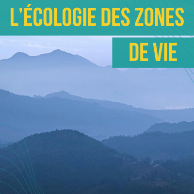 INTERVIEW - l'Écologie des zones de vie | Patrick Matagne cover