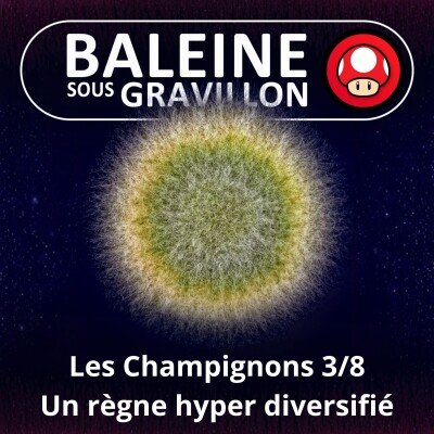 S05E40 Les Champignons 3/8 : Un règne si diversifié (Guillaume Lopez) cover