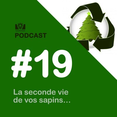 La seconde vie de vos sapins cover