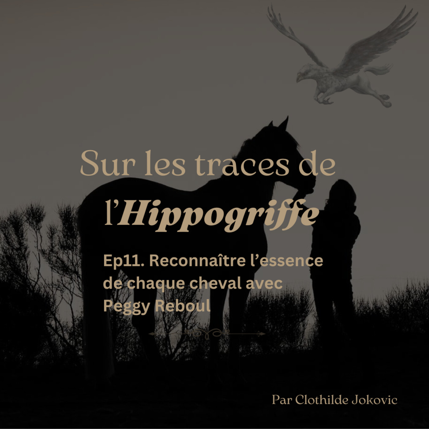 Sur les traces de l\'Hippogriffe