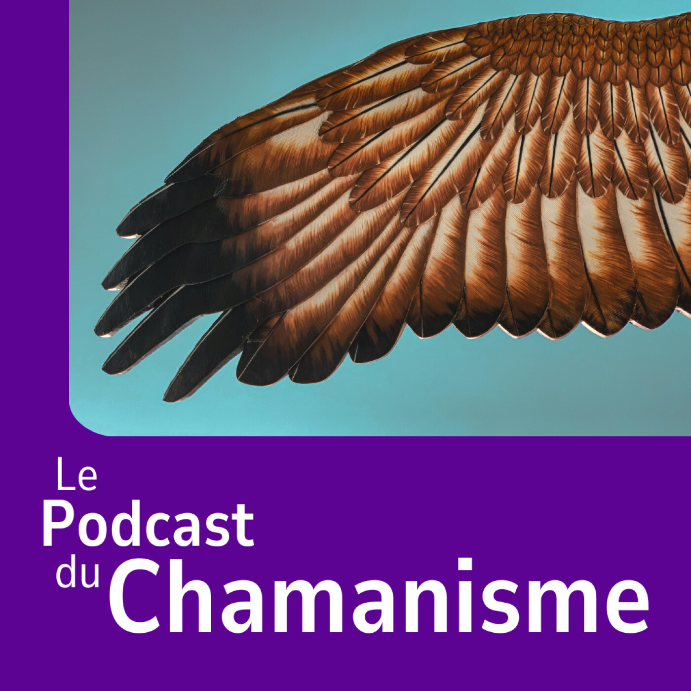 #00_ Bienvenue dans le podcast du Chamanisme. episode artwork