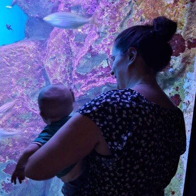 Ep 59 : Julie 1/2 : 34ans, 4 IAD et un bébé cover