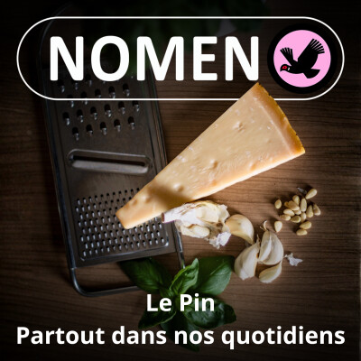 S01E08 Le Pin... si quotidien! De l'ambre au pesto en passant par François Pignon cover