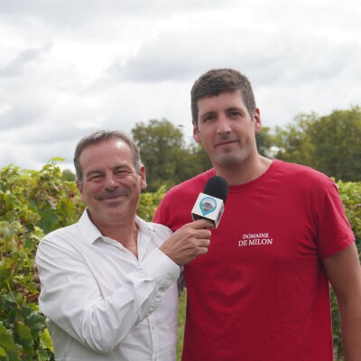 Cyril Dedieu vous présente sa propriété, ses cuvées et la manifestation qu'il va organiser le 7 septembre, LES PIEDS DANS LES VIGNES cover