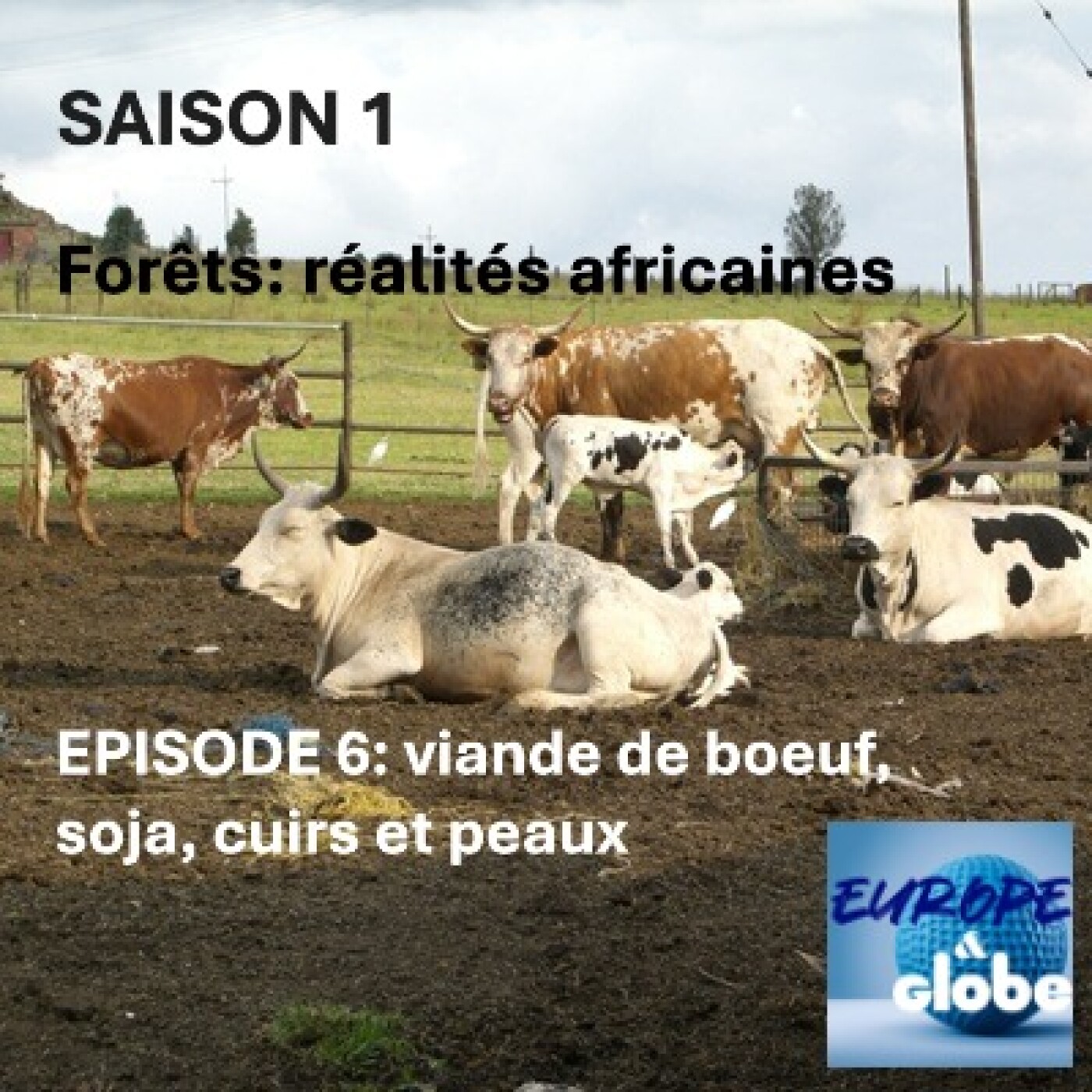 Europe and Globe, The podcast that explores today\'s world and changes the way we look at tomorrow\'s challenges