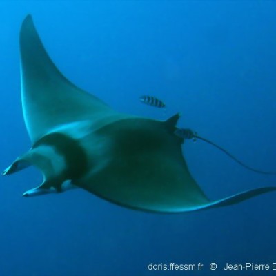 Il était une fois... le Diable de Méditerranée cover