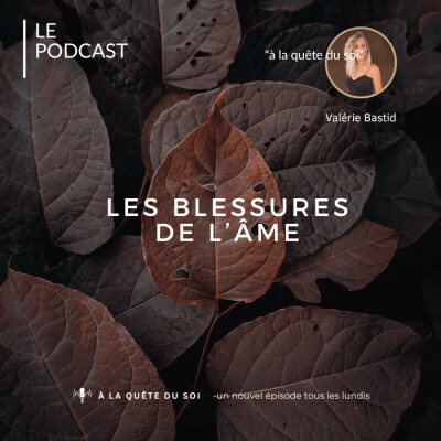 Les blessures de l'âme cover