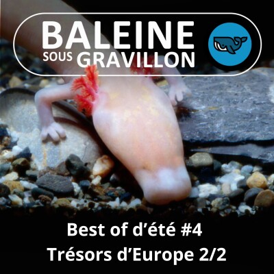 BEST OF D'ÉTÉ #4 : Trésors d'Europe 2/2, le Protée, à l'origine de la légende des dragons ! (Olivier Marquis) cover