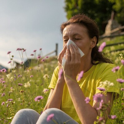 Atchoum ! Le pollen est de retour !!! cover
