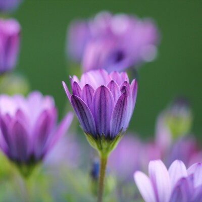 Besoin de respirer / sensation de manquer d'air cover