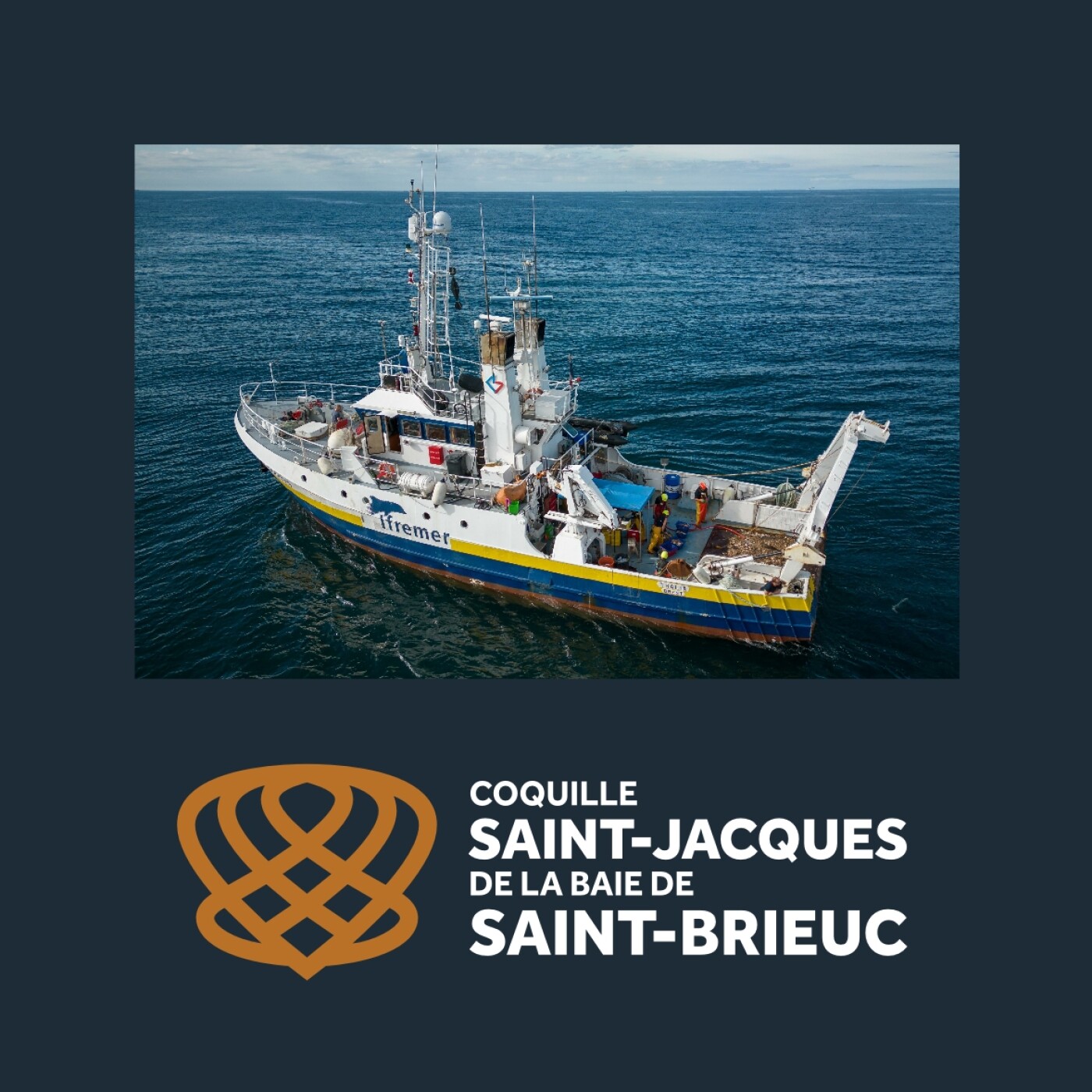 Coquille Saint-Jacques de la baie de Saint-Brieuc : bretonne au caractère bien trempé