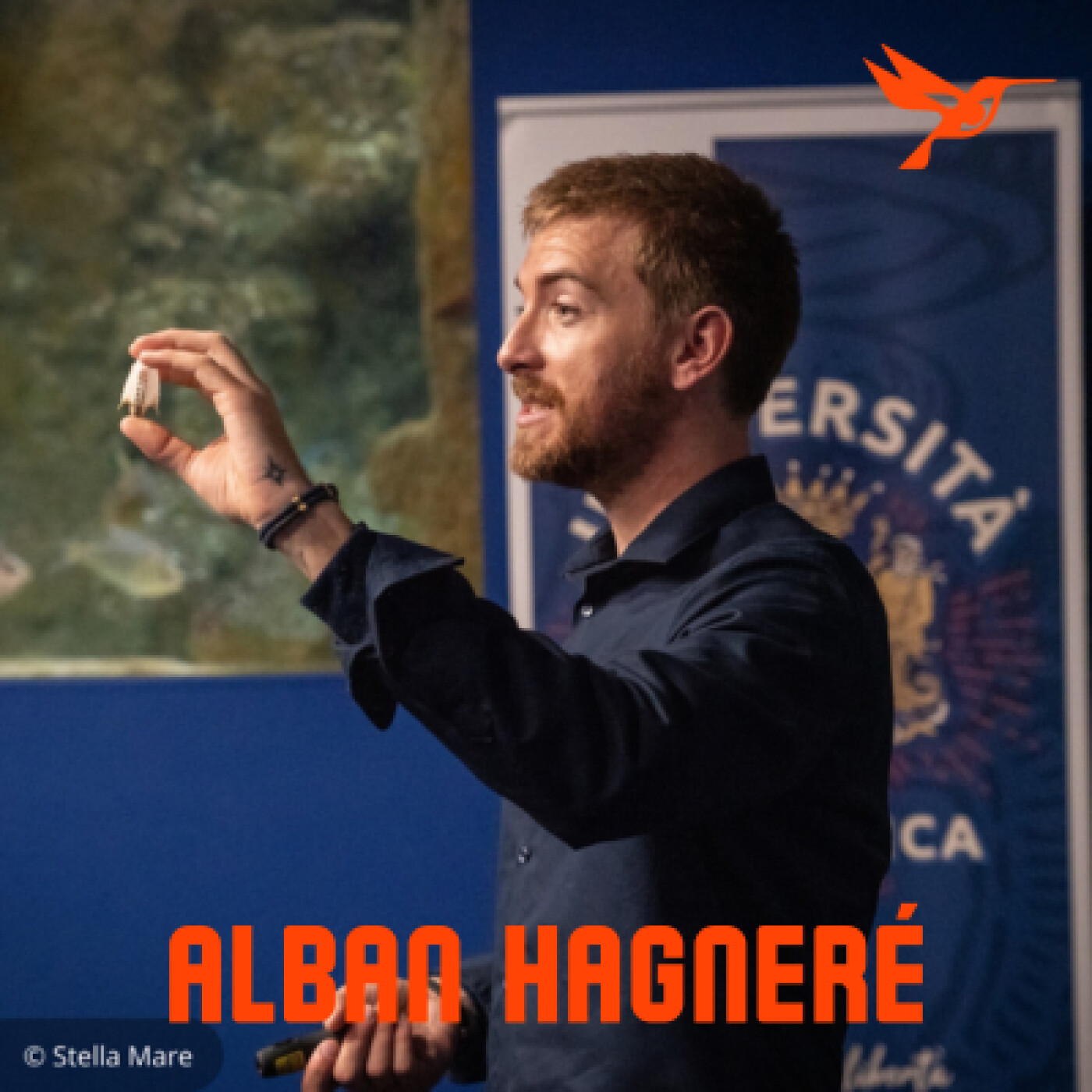 Cap sur la Corse. L'enjeu d'impliquer le grand public dans la préservation des milieux marins. Interview d'Alban Hagneré. episode artwork