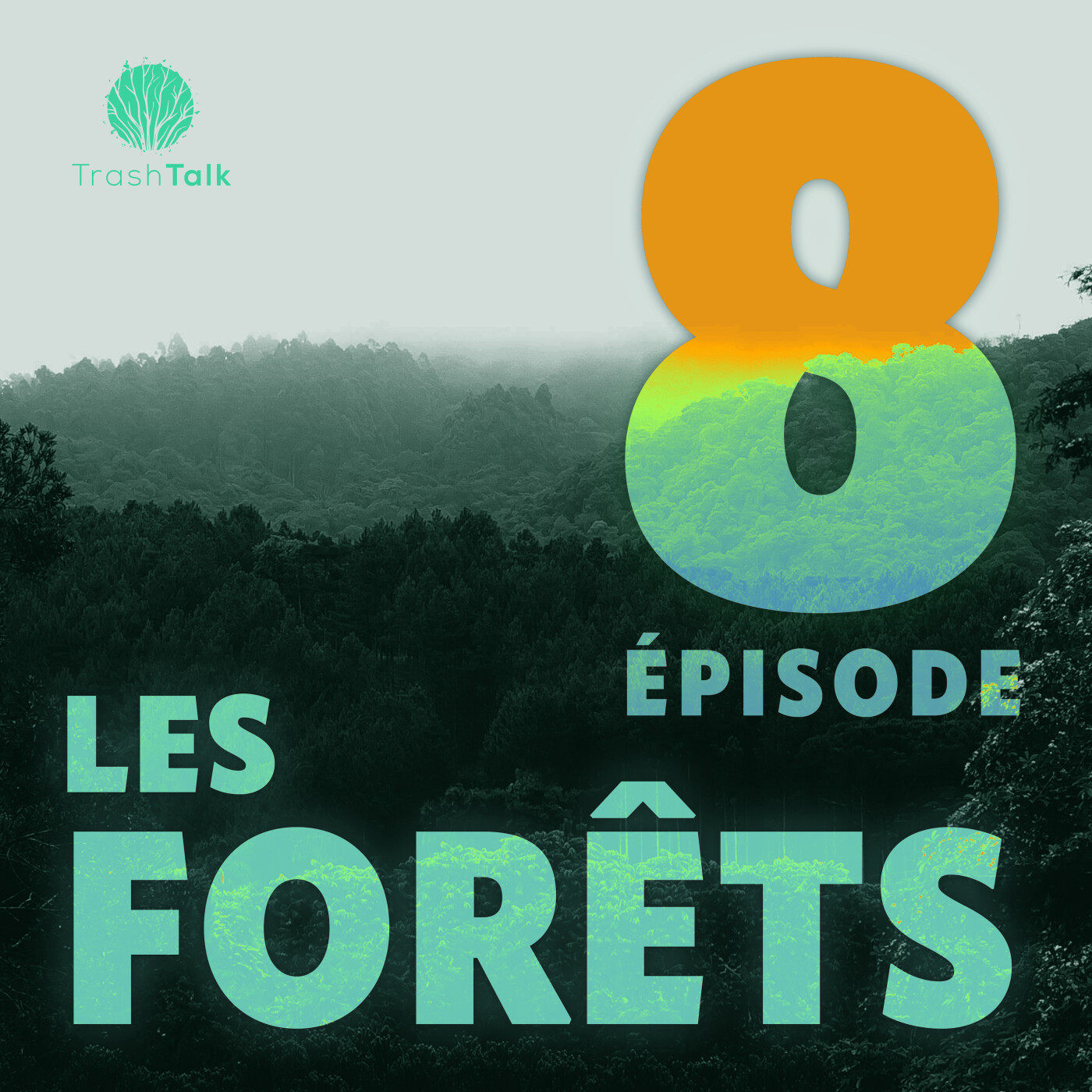 #8 - Les Forêts : tout part en fumée ?