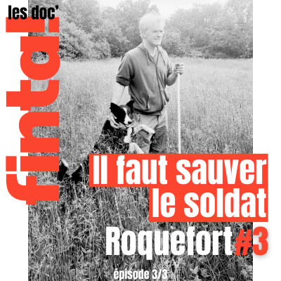 Roquefort (3/3) Il faut sauver le soldat Roquefort ! cover