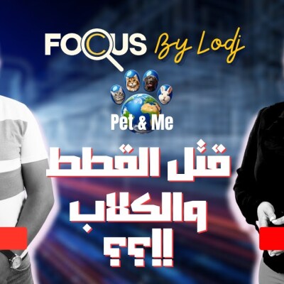 Focus  -  كريم زهير: طورت هاد التطبيق من بعد ما دارت الهدرة على قتل الكلاب.. انا بغيت نحميو القطط والكلاب .. cover