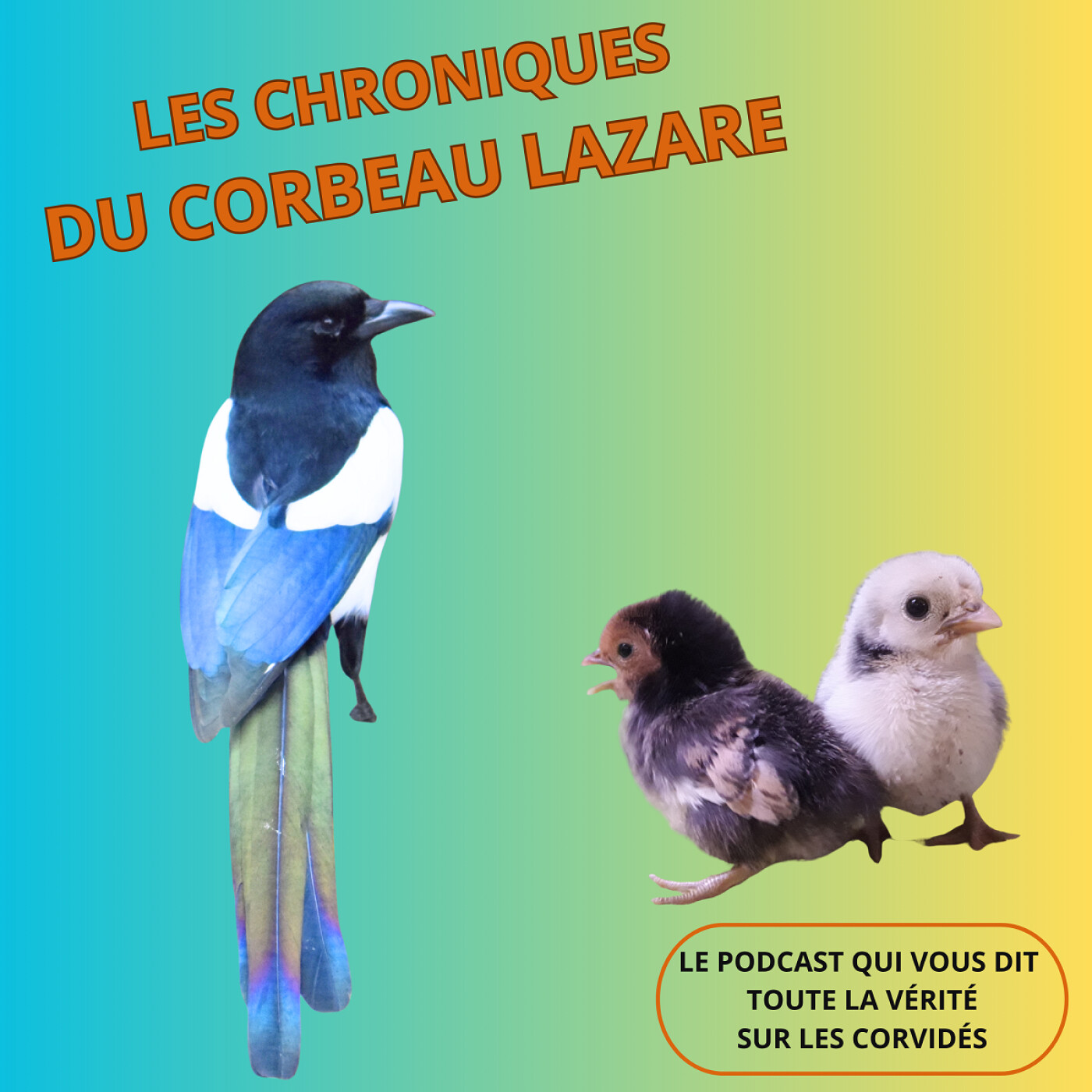 Les chroniques du corbeau Lazare