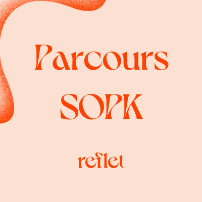 Parcours SOPK - Reflet - 6/9 - Pilosité, hirsutisme & Hyperandrogénie cover