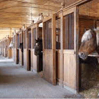 Napoléon et les haras de Tarbes - J-F Soulet - juillet 2021 cover