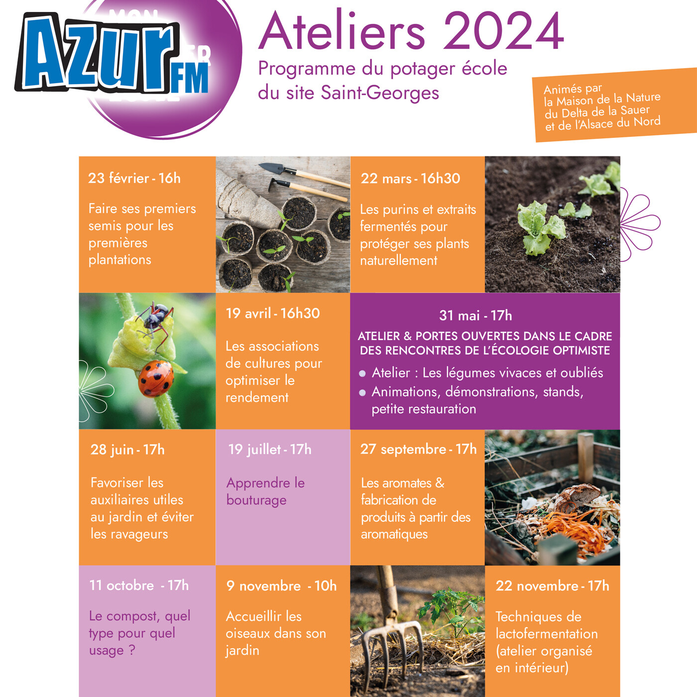 HAGUENAU : 1er ATELIER POTAGER DE L'ANNEE CE VENDREDI 23 FEVRIER ! episode artwork