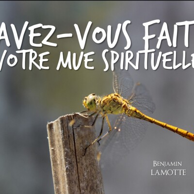 Avez-vous fait votre mue spirituelle 2 cover