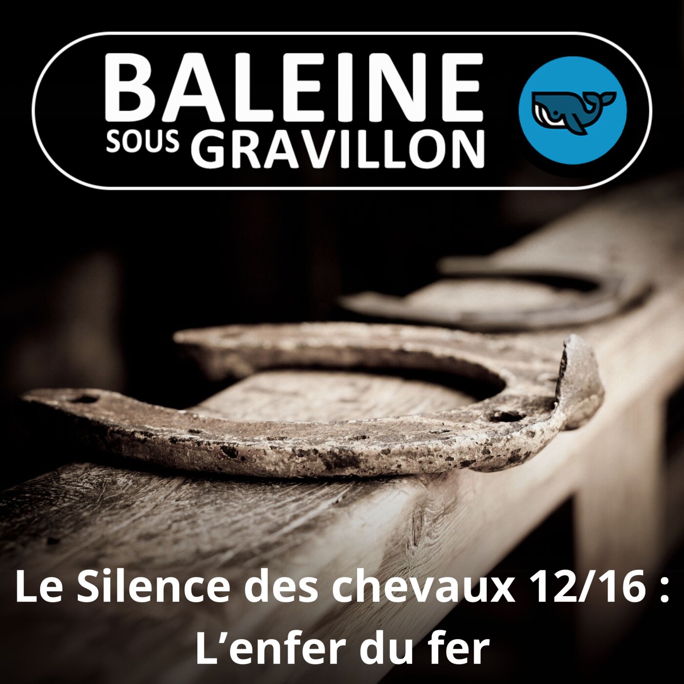 S06E46 Le Silence des chevaux 12/16 : Le fer, une cruelle aberration