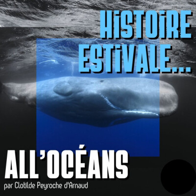 Histoires estivales cover