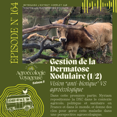 #164 La vérité sur la DNC : une vision "anti-biotique" de l'élevage (1/2) cover