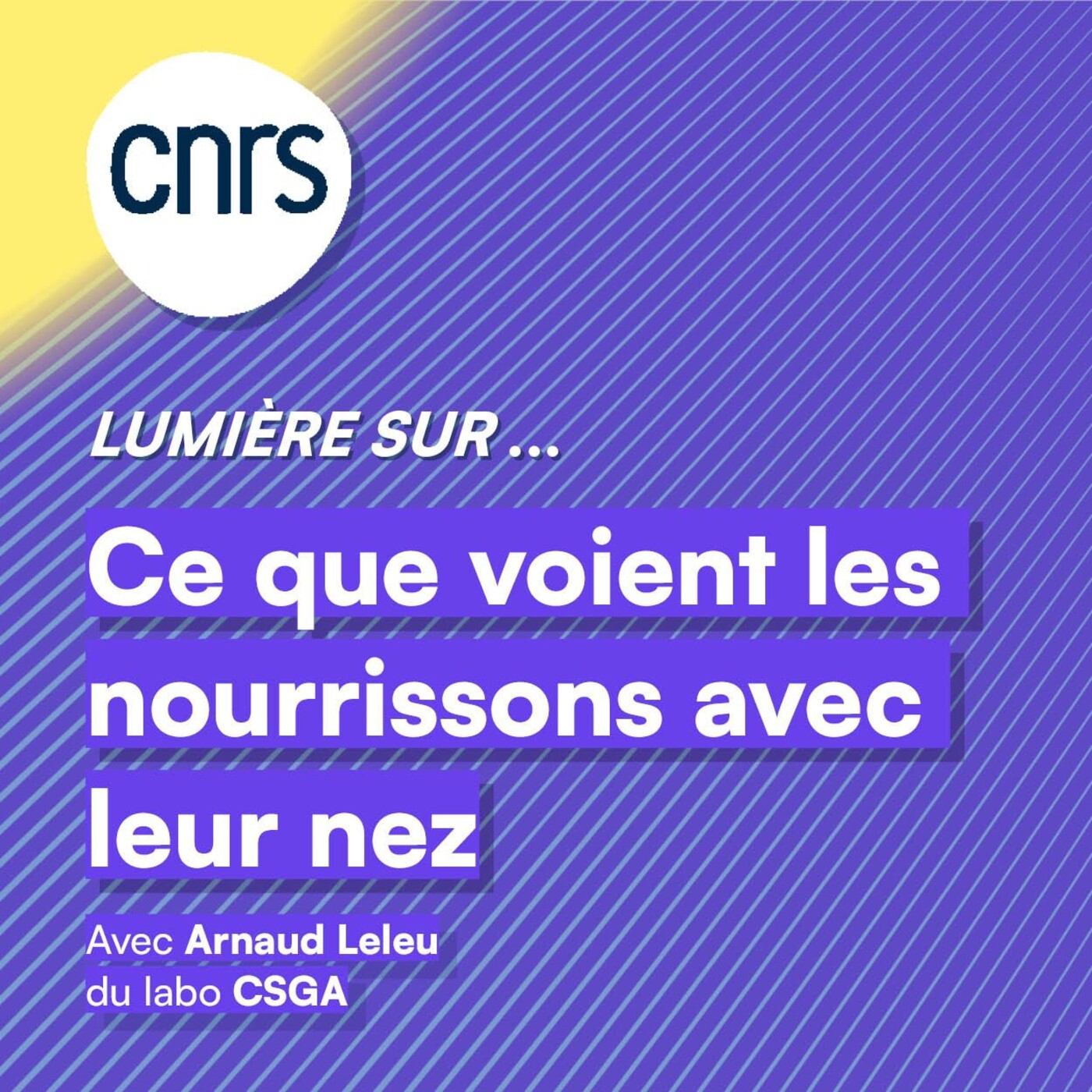 Lumière sur... Ce que voient les nourrissons avec leur nez episode artwork