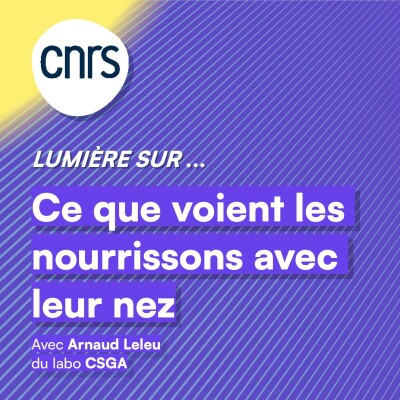 Lumière sur... Ce que voient les nourrissons avec leur nez cover
